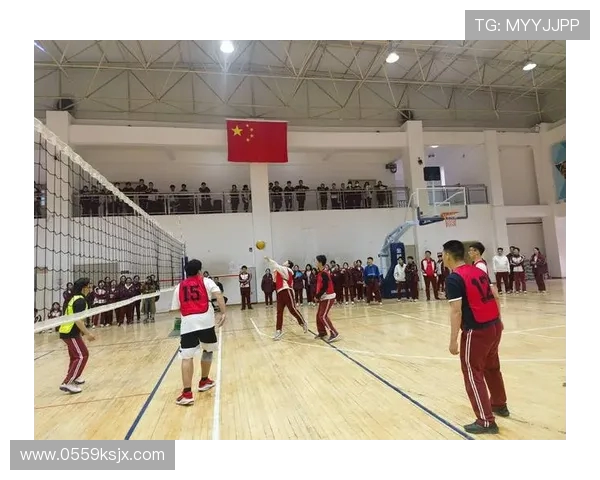 排球盛宴：深入了解西安排球队的战术思维与团队精神